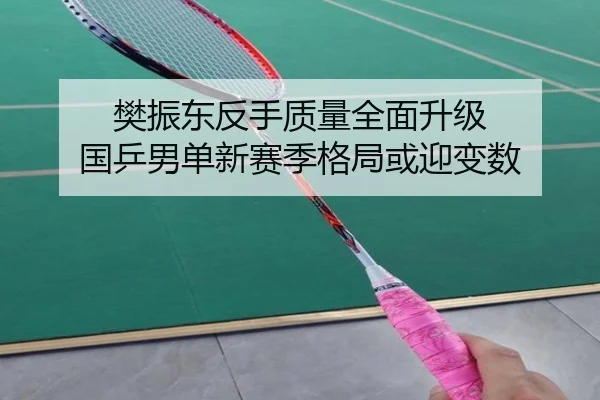 樊振东反手质量全面升级 国乒男单新赛季格局或迎变数